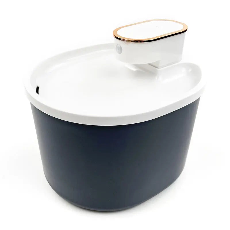 fontaine à chat noir blanc