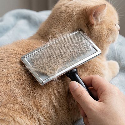 Brosse chat poil longâ
