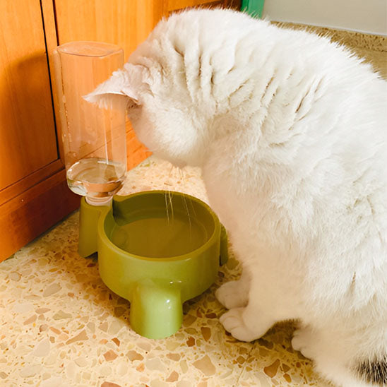chat blanc boit dans distributeur eau chat