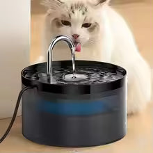 Chat distributeur eau/Mosistaâą