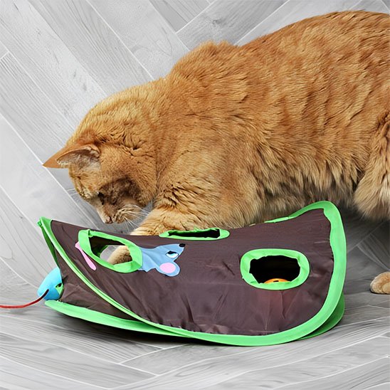 chat qui joue avec jouets pour chat en forme de tapis de jeu avec plusiuers trous