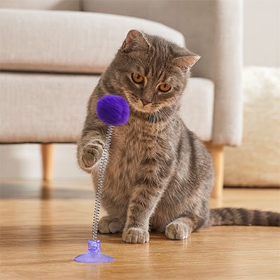 chat qui samuse avec son jouer pour chat mauve