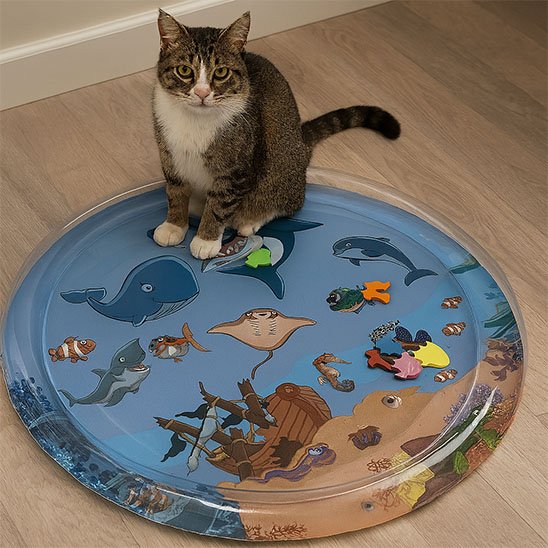 Jouets pour chat