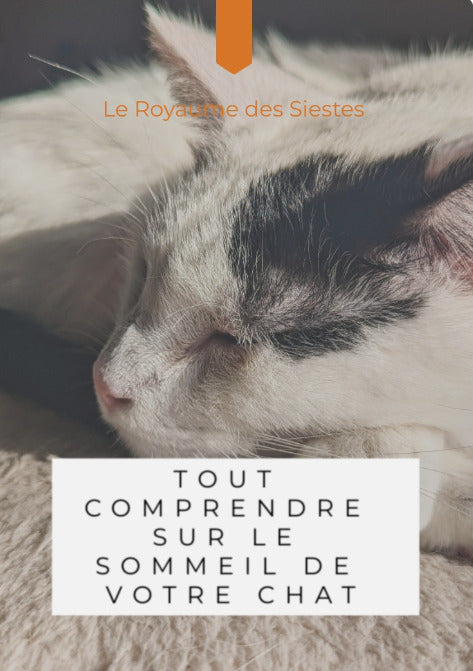 E-Book MITSOU UNIVERS CHAT