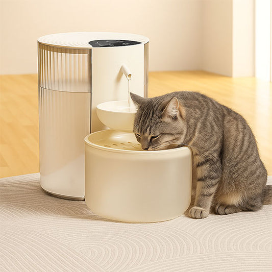 chat boit dans fonraine eau pour chat belge automatique