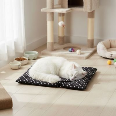 Chat dors sur Tapis pour chat 