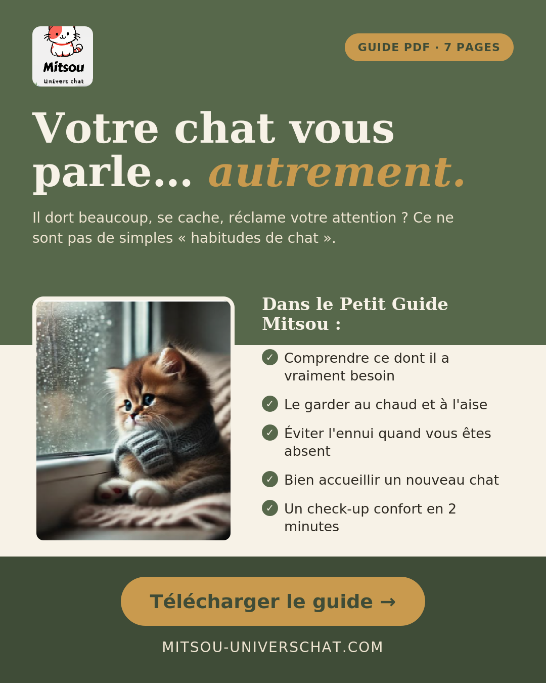 e-book pour chat