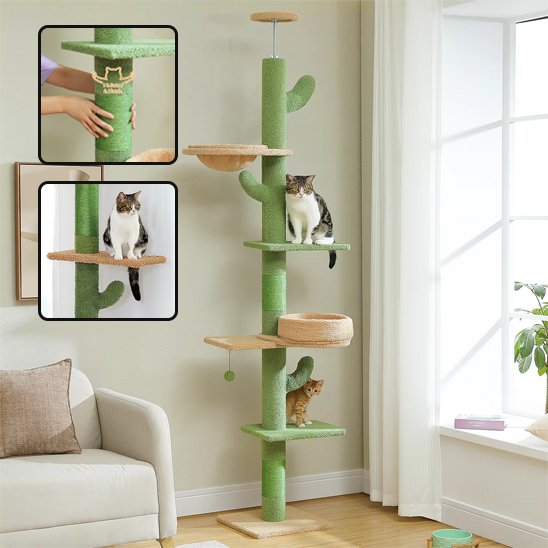 Arbre a chat