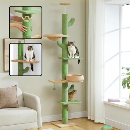 Arbre a chat