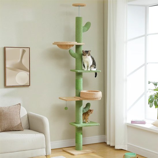 Arbre a chat verte