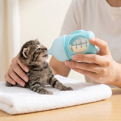 biberon pour chat 