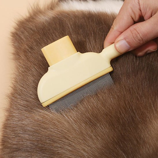 Brosse à chat