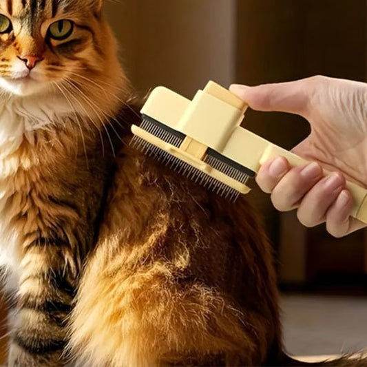 Brosse à chat