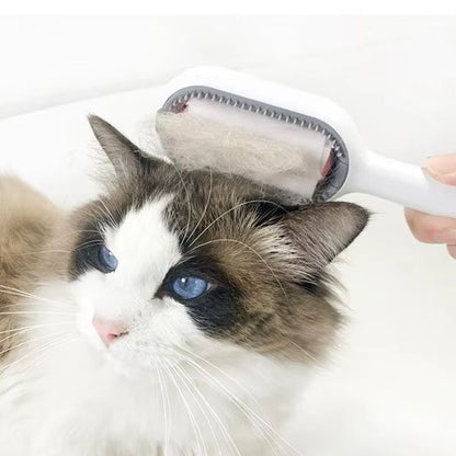 Brosse chat