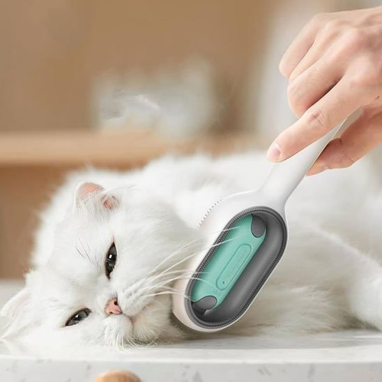 Brosse chat