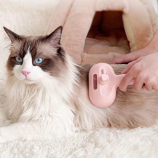 Brosse chat​