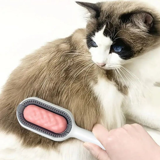 Brosse chat