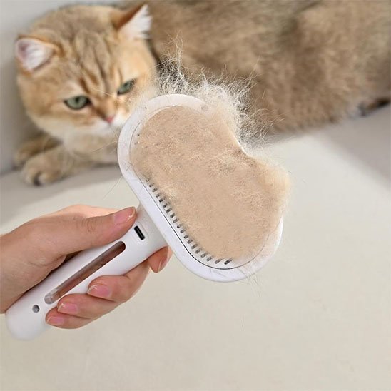 Brosse chat​ poils longs