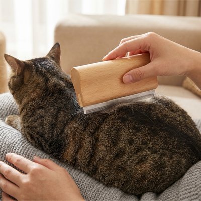 Brosse poil chat​ 