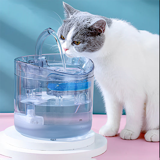 chat blanc boit dans fontaine a chat transparent