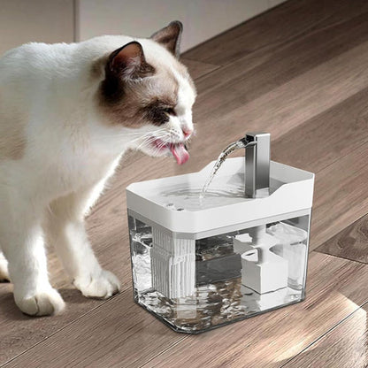 chat blanc buvant eau fontaine a eau chat blanche