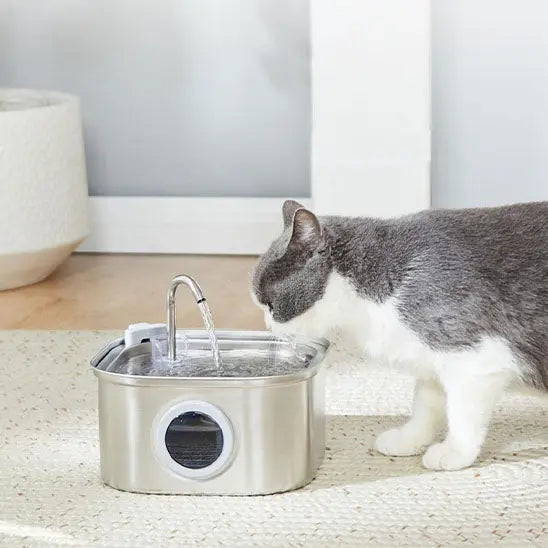 chat bois dans fontaine a eau pour chat innox