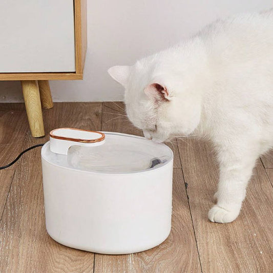 Fontaine à chat/ Konfor™