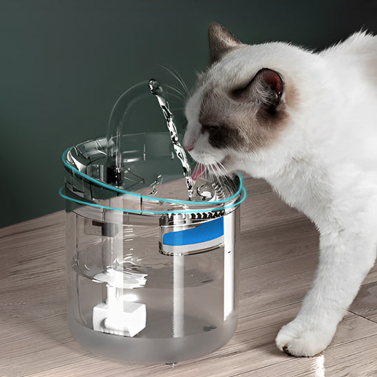 chat boit dans fontaine a chat transparent