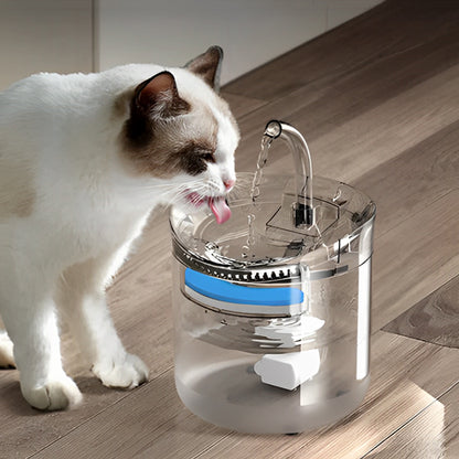 chat boit dans fontaine a chat transparent