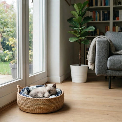 chat couche dans Panier Chat osier