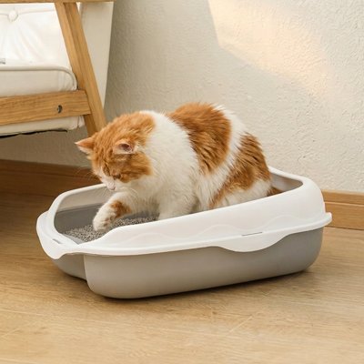 chat  dans son Bac à litière pour chat