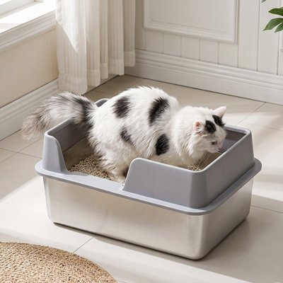 chat dans son Bac litiere