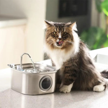 chat proche fontaine a eau pour chat innox