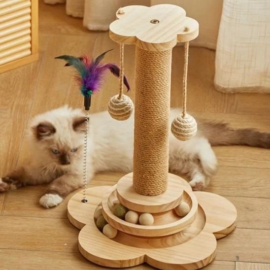 chat griffe sur le Poteau Griffoire Chat