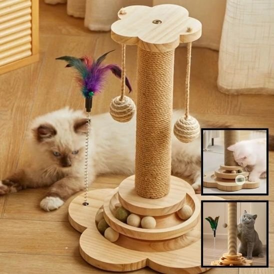 chat griffe sur le Poteau Griffoire Chat