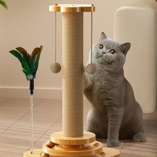 Chat griffe sur le Poteau Griffoire Chat