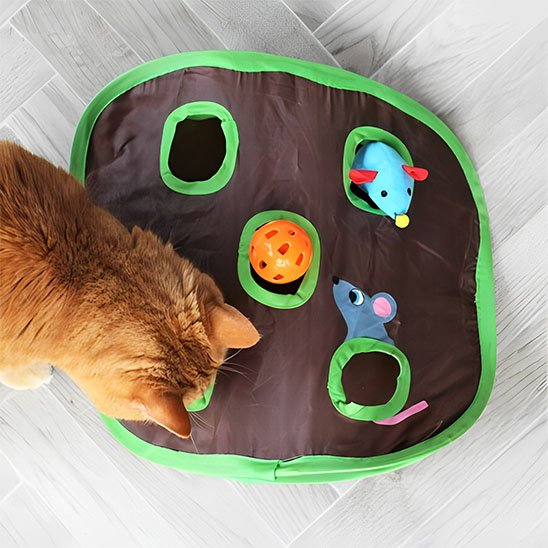 chat jouant avec jouets pour chat en forme de tapis de jeu avec plusiuers trous