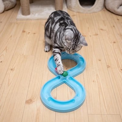 Chat jouant avec son Jouets pour chat en forme de tunnel