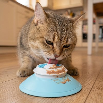 chat leche sur Gamelles anti glouton Chat bleu
