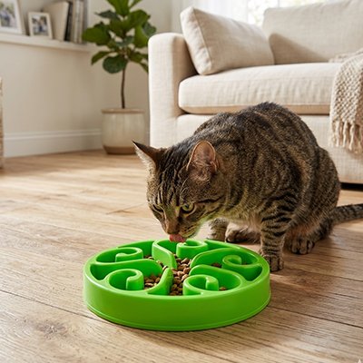 chat mange dans Gamelle anti glouton pour Chat verte