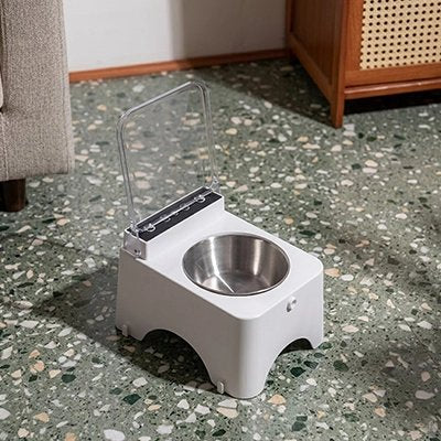 chat mange dans Gamelle automatique Chat