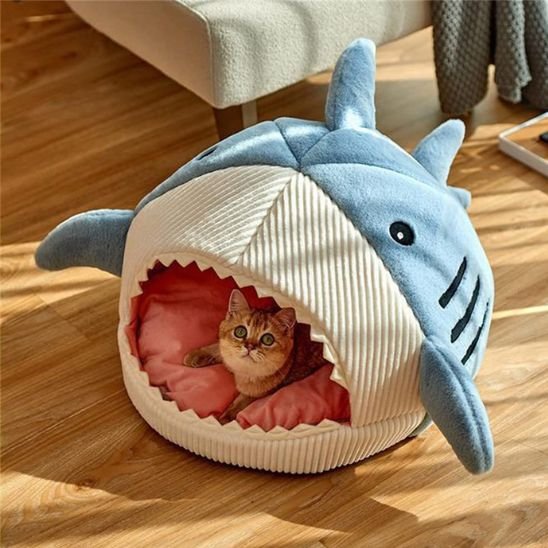 chat niche douillet bleu