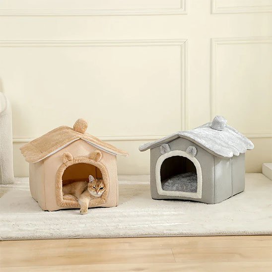 Chat niche gris et marron