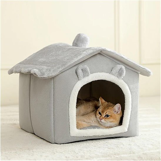 Chat niche gris