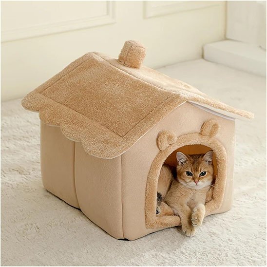 Chat niche marron