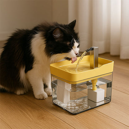chat noir blanc buvant eau fontaine a eau chat jaune