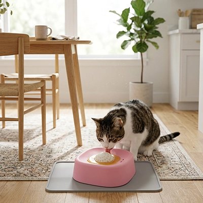 chat noir leche dans une Gamelles anti glouton Chat rose