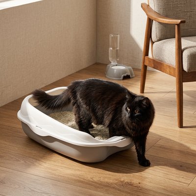 chat noir sortie de son Bac à litière pour chat