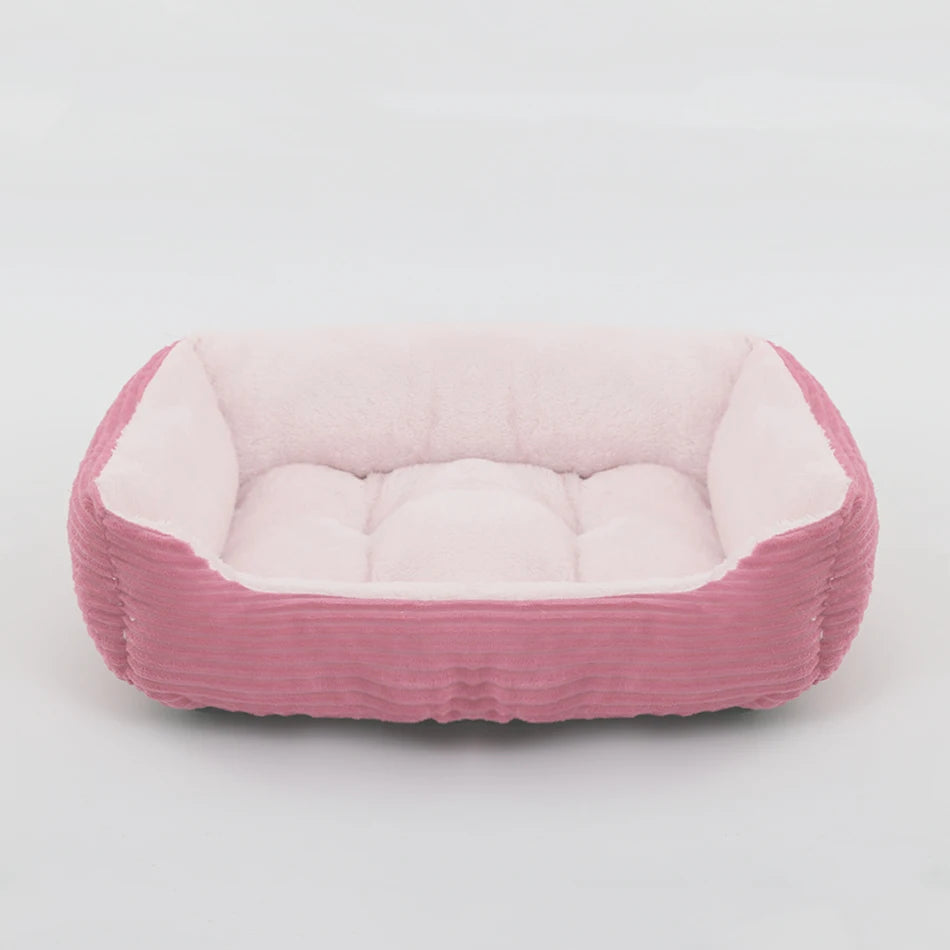 chat panier