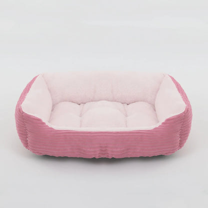 chat panier
